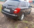Черный Шкода Фабия, объемом двигателя 1.39 л и пробегом 186 тыс. км за 4750 $, фото 4 на Automoto.ua
