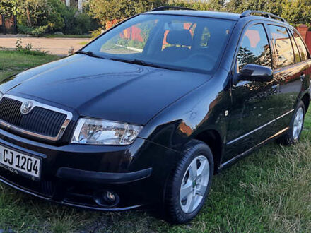 Шкода Фабия 2005 в Немирове на Automoto.ua Черный Шкода Фабия, объемом двигателя 1.39 л и пробегом 167 тыс. км за 4900 $, фото 1 на Automoto.ua