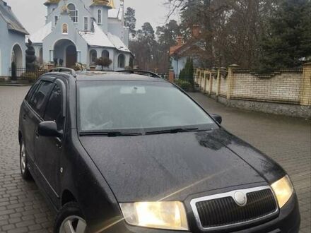 Черный Шкода Фабия, объемом двигателя 1.9 л и пробегом 315 тыс. км за 4890 $, фото 1 на Automoto.ua