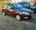 Шкода Фабия 2011 в Житомире на Automoto.ua Красный Шкода Фабия, объемом двигателя 1.2 л и пробегом 176 тыс. км за 6000 $, фото 9 на Automoto.ua