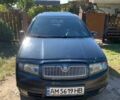 Шкода Фабія, об'ємом двигуна 1.39 л та пробігом 198 тис. км за 3599 $, фото 1 на Automoto.ua