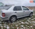 Шкода Фабия, объемом двигателя 1.39 л и пробегом 174 тыс. км за 4100 $, фото 3 на Automoto.ua