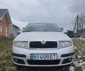 Шкода Фабия, объемом двигателя 1.39 л и пробегом 174 тыс. км за 4100 $, фото 1 на Automoto.ua