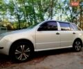Шкода Фабия, объемом двигателя 1.4 л и пробегом 171 тыс. км за 3500 $, фото 1 на Automoto.ua