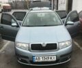 Шкода Фабия, объемом двигателя 1.39 л и пробегом 220 тыс. км за 4400 $, фото 1 на Automoto.ua