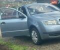 Шкода Фабия, объемом двигателя 1.4 л и пробегом 197 тыс. км за 3200 $, фото 1 на Automoto.ua