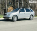Шкода Фабия, объемом двигателя 1.4 л и пробегом 256 тыс. км за 4050 $, фото 1 на Automoto.ua