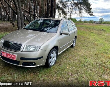 Шкода Фабия, объемом двигателя 1.4 л и пробегом 240 тыс. км за 4500 $, фото 1 на Automoto.ua