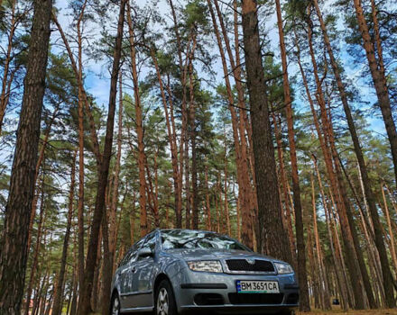 Шкода Фабія, об'ємом двигуна 1.39 л та пробігом 242 тис. км за 5000 $, фото 1 на Automoto.ua