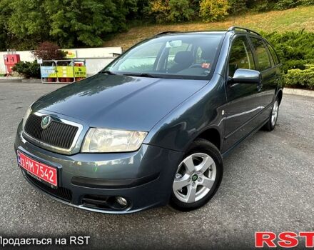 Шкода Фабия, объемом двигателя 1.4 л и пробегом 133 тыс. км за 5300 $, фото 1 на Automoto.ua