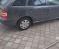 Шкода Фабия, объемом двигателя 1.39 л и пробегом 233 тыс. км за 4700 $, фото 1 на Automoto.ua