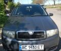 Шкода Фабия, объемом двигателя 1.4 л и пробегом 215 тыс. км за 4500 $, фото 1 на Automoto.ua