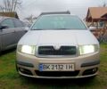 Шкода Фабия, объемом двигателя 1.4 л и пробегом 385 тыс. км за 3530 $, фото 1 на Automoto.ua
