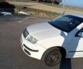 Шкода Фабия, объемом двигателя 1.39 л и пробегом 262 тыс. км за 4163 $, фото 20 на Automoto.ua