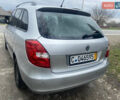 Шкода Фабия, объемом двигателя 1.4 л и пробегом 231 тыс. км за 4758 $, фото 7 на Automoto.ua