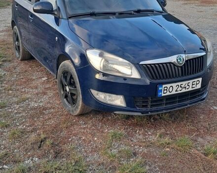 Шкода Фабия, объемом двигателя 1.4 л и пробегом 237 тыс. км за 4500 $, фото 1 на Automoto.ua