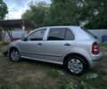 Серый Шкода Фабия, объемом двигателя 1.4 л и пробегом 219 тыс. км за 3007 $, фото 1 на Automoto.ua