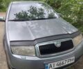 Сірий Шкода Фабія, об'ємом двигуна 1.39 л та пробігом 179 тис. км за 3900 $, фото 1 на Automoto.ua