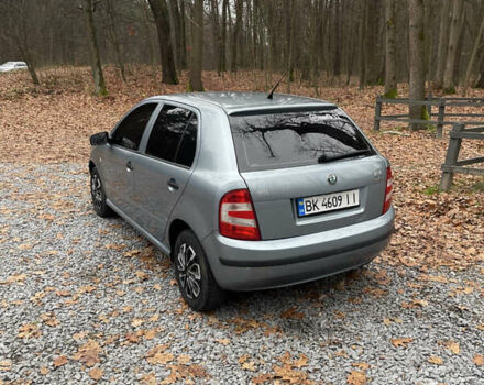Серый Шкода Фабия, объемом двигателя 1.2 л и пробегом 91 тыс. км за 4300 $, фото 4 на Automoto.ua