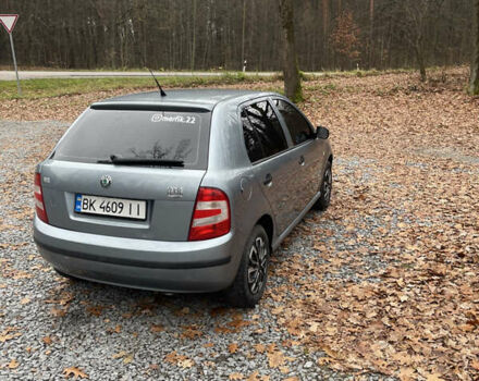 Серый Шкода Фабия, объемом двигателя 1.2 л и пробегом 91 тыс. км за 4300 $, фото 3 на Automoto.ua