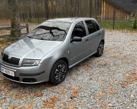 Серый Шкода Фабия, объемом двигателя 1.2 л и пробегом 91 тыс. км за 4300 $, фото 1 на Automoto.ua