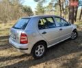 Серый Шкода Фабия, объемом двигателя 1.4 л и пробегом 165 тыс. км за 3500 $, фото 4 на Automoto.ua