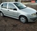 Серый Шкода Фабия, объемом двигателя 1.2 л и пробегом 250 тыс. км за 3500 $, фото 1 на Automoto.ua