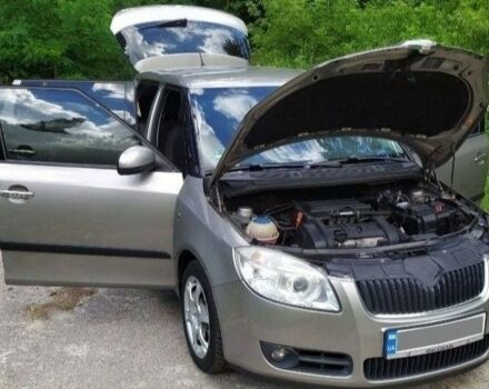 Серый Шкода Фабия, объемом двигателя 1.4 л и пробегом 205 тыс. км за 6000 $, фото 10 на Automoto.ua