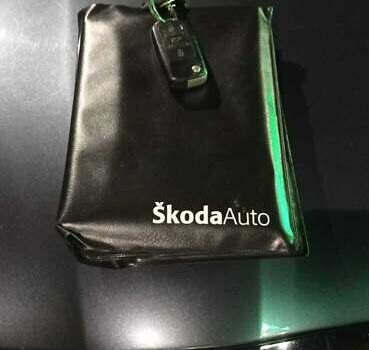 Сірий Шкода Фабія, об'ємом двигуна 1.2 л та пробігом 180 тис. км за 4700 $, фото 10 на Automoto.ua