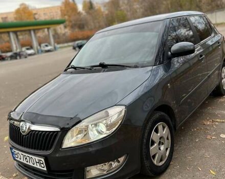 Сірий Шкода Фабія, об'ємом двигуна 1.2 л та пробігом 184 тис. км за 4999 $, фото 15 на Automoto.ua