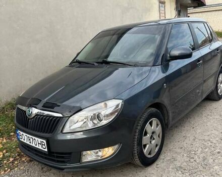Сірий Шкода Фабія, об'ємом двигуна 1.2 л та пробігом 184 тис. км за 4999 $, фото 3 на Automoto.ua