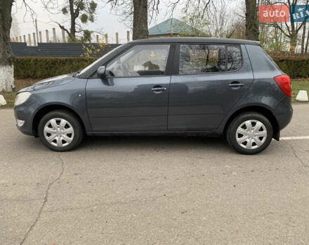 Серый Шкода Фабия, объемом двигателя 1.4 л и пробегом 170 тыс. км за 5699 $, фото 1 на Automoto.ua