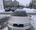 Сірий Шкода Фабія, об'ємом двигуна 1.39 л та пробігом 200 тис. км за 3300 $, фото 1 на Automoto.ua