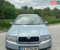 Серый Шкода Фабия, объемом двигателя 1.4 л и пробегом 240 тыс. км за 3299 $, фото 1 на Automoto.ua