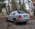 Серый Шкода Фабия, объемом двигателя 1.2 л и пробегом 220 тыс. км за 3300 $, фото 10 на Automoto.ua
