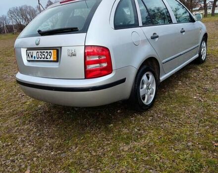 Сірий Шкода Фабія, об'ємом двигуна 1.4 л та пробігом 196 тис. км за 4900 $, фото 11 на Automoto.ua