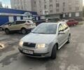 Серый Шкода Фабия, объемом двигателя 1.4 л и пробегом 169 тыс. км за 3599 $, фото 1 на Automoto.ua