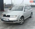 Серый Шкода Фабия, объемом двигателя 1.39 л и пробегом 226 тыс. км за 3350 $, фото 1 на Automoto.ua