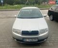 Серый Шкода Фабия, объемом двигателя 1.4 л и пробегом 245 тыс. км за 3900 $, фото 1 на Automoto.ua