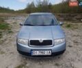 Серый Шкода Фабия, объемом двигателя 1.4 л и пробегом 366 тыс. км за 2500 $, фото 1 на Automoto.ua