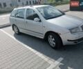 Серый Шкода Фабия, объемом двигателя 1.9 л и пробегом 323 тыс. км за 3700 $, фото 9 на Automoto.ua