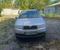 Серый Шкода Фабия, объемом двигателя 1.39 л и пробегом 230 тыс. км за 3900 $, фото 1 на Automoto.ua