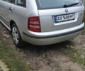 Сірий Шкода Фабія, об'ємом двигуна 1.6 л та пробігом 247 тис. км за 5200 $, фото 3 на Automoto.ua