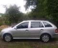 Сірий Шкода Фабія, об'ємом двигуна 1.39 л та пробігом 293 тис. км за 3800 $, фото 1 на Automoto.ua