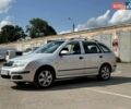 Серый Шкода Фабия, объемом двигателя 1.39 л и пробегом 168 тыс. км за 3900 $, фото 9 на Automoto.ua