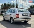 Серый Шкода Фабия, объемом двигателя 1.39 л и пробегом 168 тыс. км за 3900 $, фото 6 на Automoto.ua