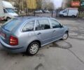 Серый Шкода Фабия, объемом двигателя 1.39 л и пробегом 146 тыс. км за 3999 $, фото 1 на Automoto.ua