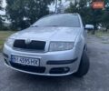 Серый Шкода Фабия, объемом двигателя 1.39 л и пробегом 212 тыс. км за 4600 $, фото 3 на Automoto.ua
