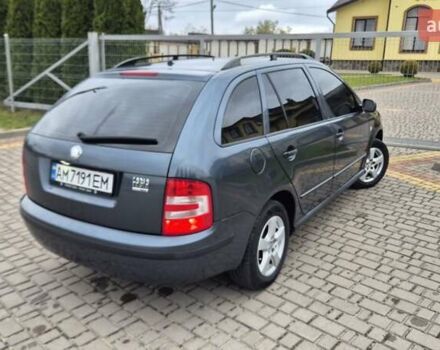 Серый Шкода Фабия, объемом двигателя 1.39 л и пробегом 299 тыс. км за 2999 $, фото 7 на Automoto.ua