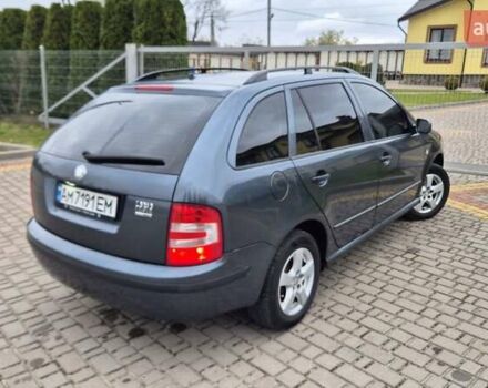 Серый Шкода Фабия, объемом двигателя 1.39 л и пробегом 299 тыс. км за 2999 $, фото 60 на Automoto.ua